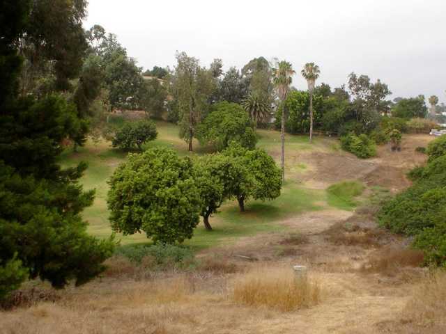 Sun Valley Fairways - photo 3