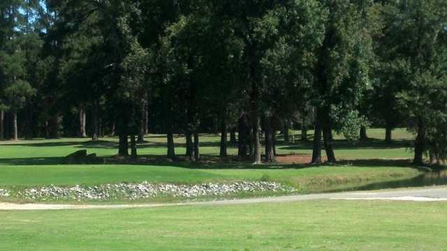 Dublin Country Club - photo 2