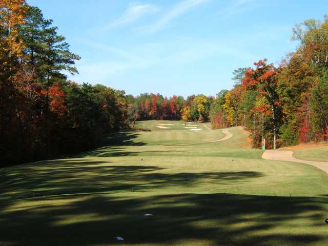 St. Andrews Golf & Country Club - photo 4