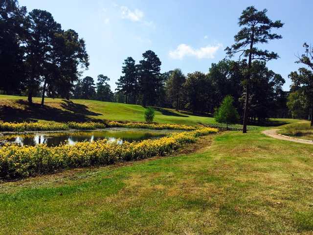 Millwood Landing Golf & R.V. Resort - photo 1