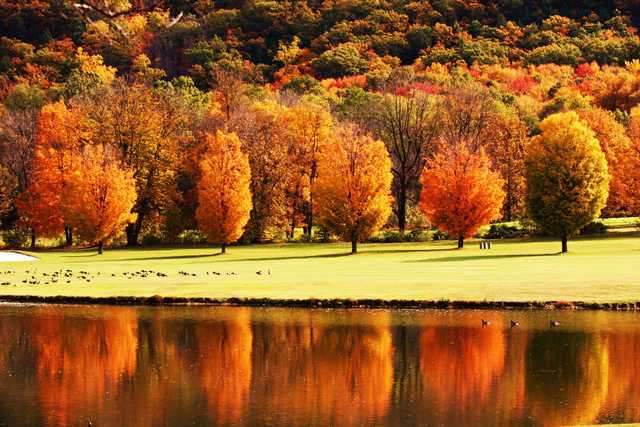 Fallsview