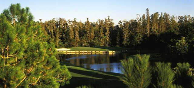 Northdale Golf and Tennis Club - photo 5