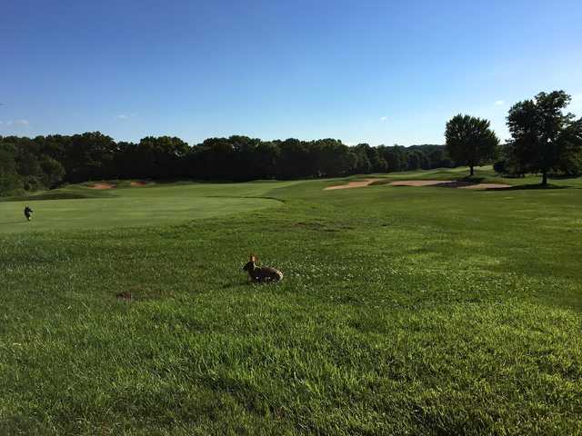 Raspberry Falls Golf and Hunt Club - photo 2