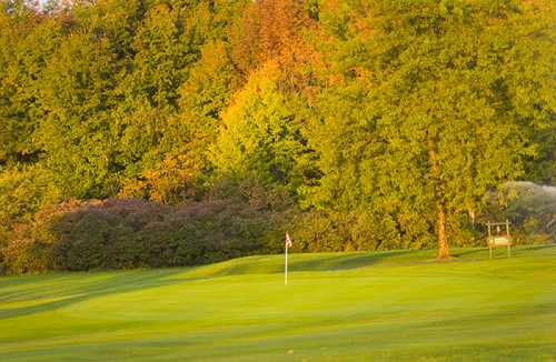 Chestnut Hill Country Club - photo 5