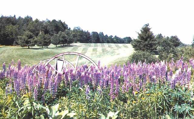 Springbrook Golf Club