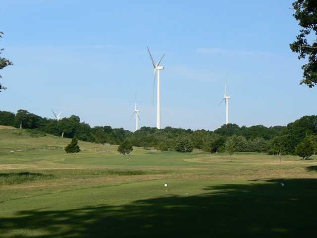 Turtle Hill - photo 4