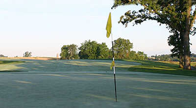 The Harvester - photo 2