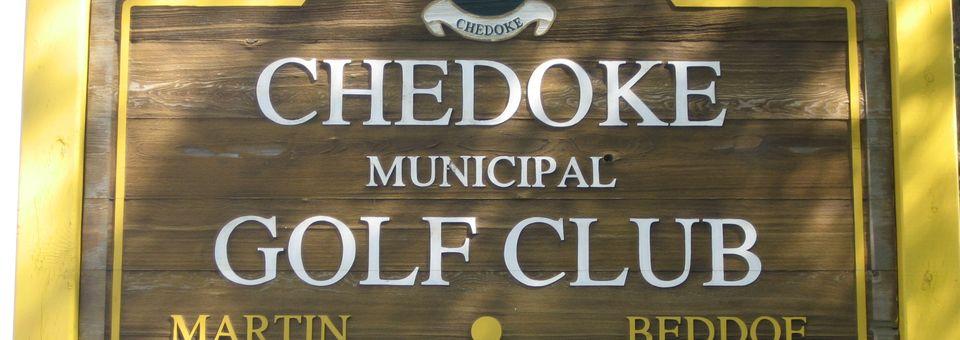 Chedoke - Martin - photo 5