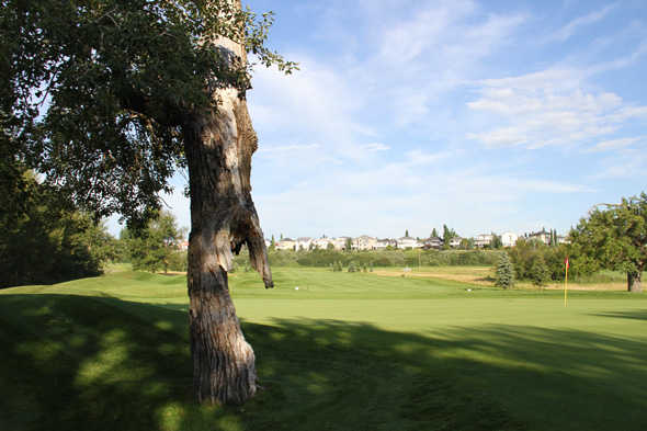 McKenzie Meadows Golf Course - photo 5