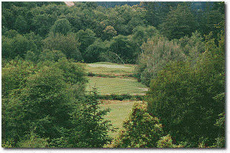 Salmon Run - photo 8