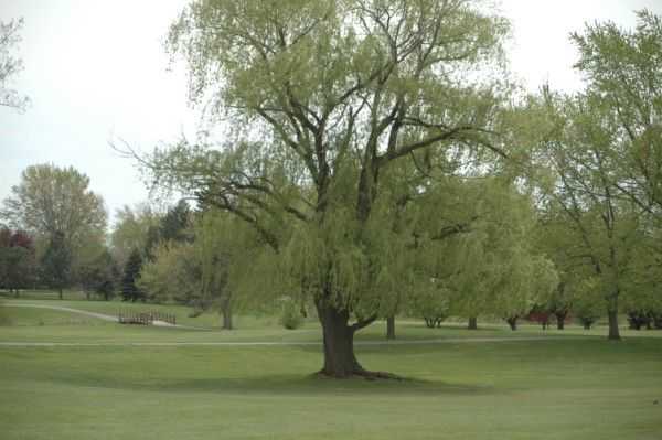 Idyl Wyld Golf Course - photo 4