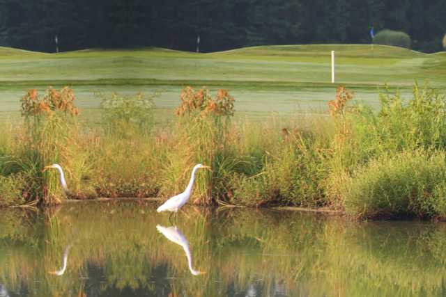 Great Hope Golf Course - photo 4