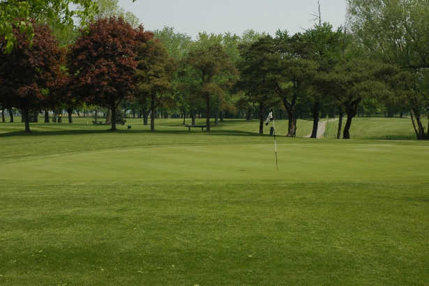 Ridgetown Golf and Curling Club - photo 2