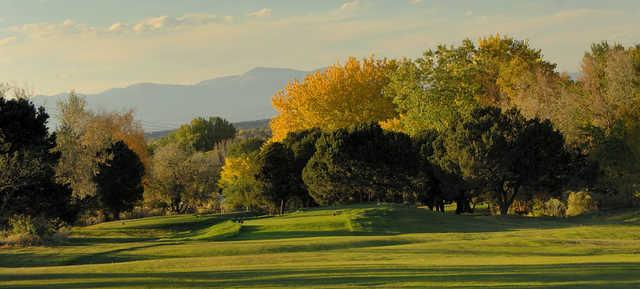 Quail Run Golf Course - photo 3