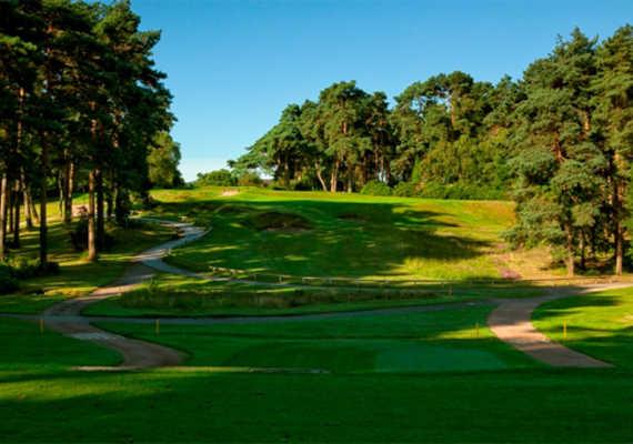 Cricket St Thomas Golf Club - photo 3