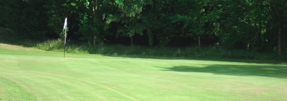 Lochwinnoch Golf Club - photo 8