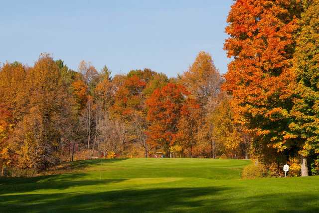 Ruttgers Bay Lake Lodge - photo 4