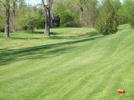 Wedgewood Golf Club - photo 2