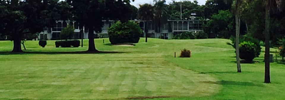 Village Green Golf Club - photo 5