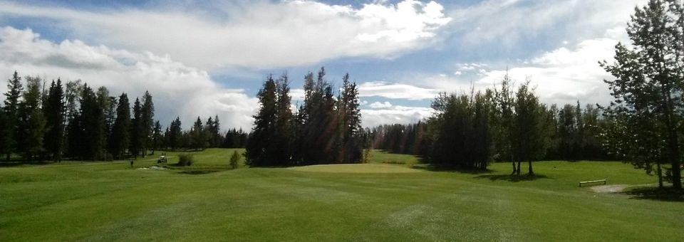 Forest Heights Golf Club - photo 4