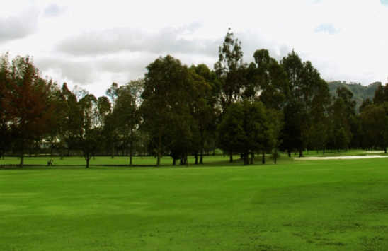 Logans Run Family Golf Center - photo 3