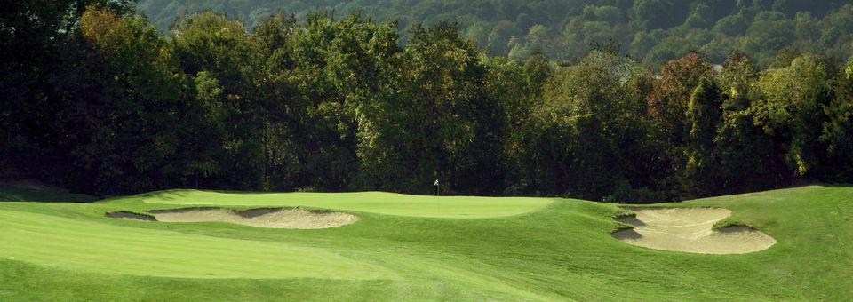 Minerals Golf Club - photo 4