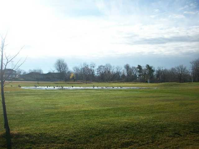 The Landings Golf Club - photo 4