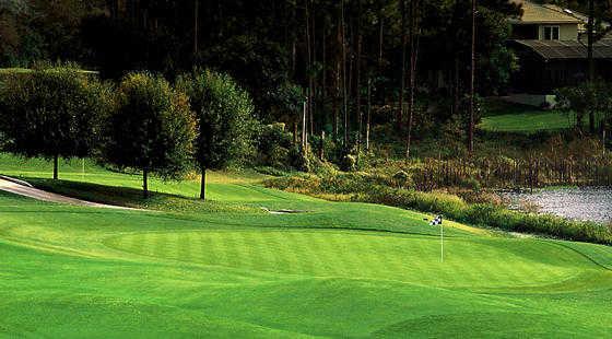 DeBary Country Club - photo 7