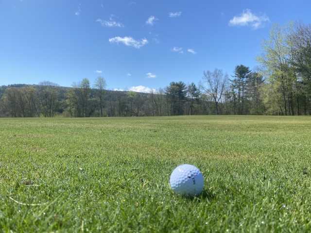 Dunroamin Country Club - photo 2