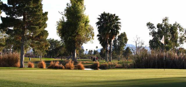 Toka Sticks Golf Club