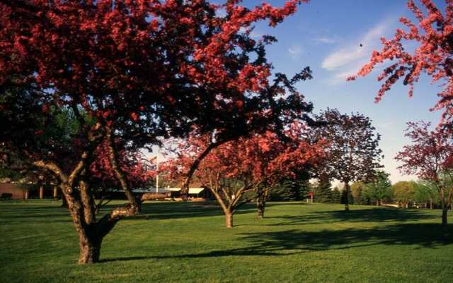 Meadowbrook Country Club - photo 5