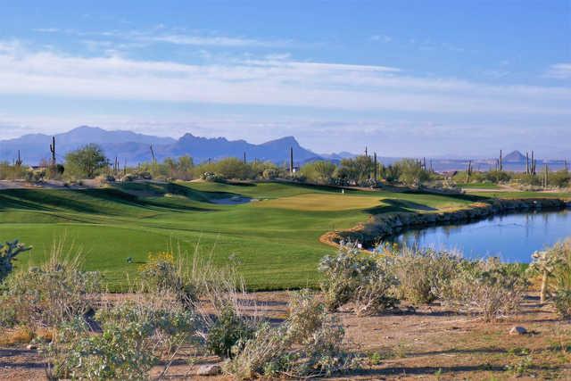The Golf Club at Dove Mountain - photo 8