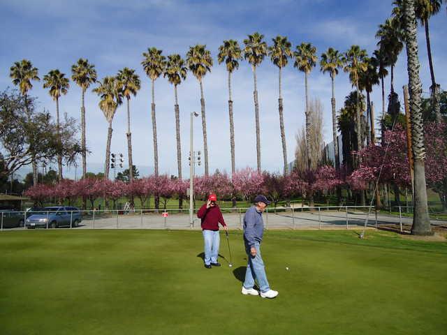 Sunken Gardens Golf Course - photo 1