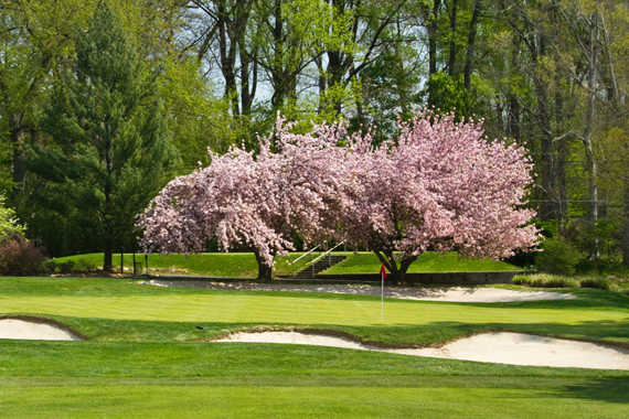 Trenton Country Club - photo 2