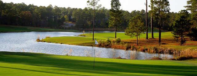 Forest Creek Golf Club - photo 4