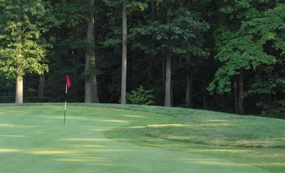 Pebble Creek Golf Club - photo 3