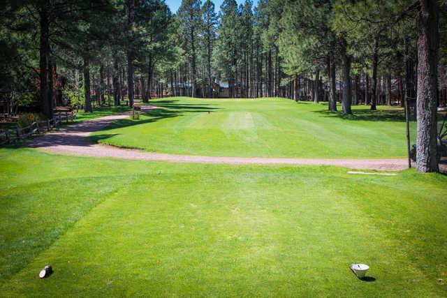 Pinetop Lakes Golf & Country Club - photo 4