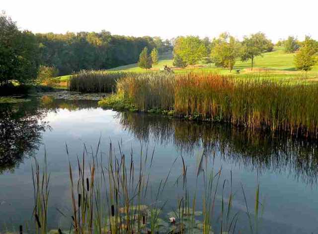 Chiddingfold Golf Club - photo 2