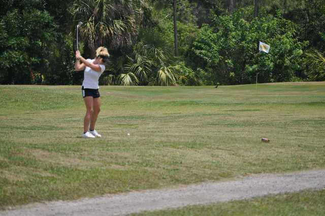 Jo Daddy's Lighted Golf Course - photo 3