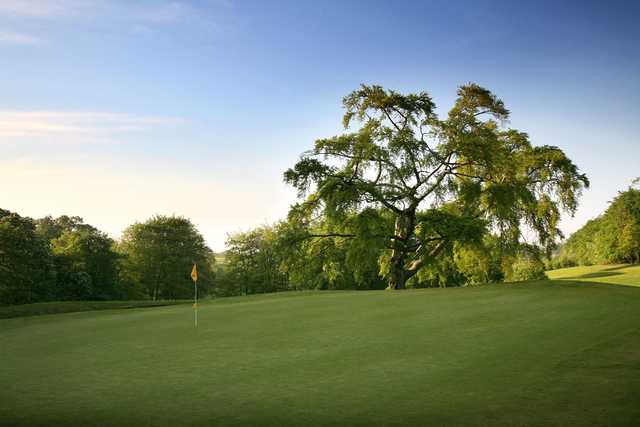 Redlibbets Golf Club - photo 4