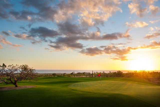 Diamante Cabo San Lucas - El Cardonal Course - photo 3