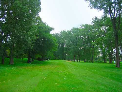 Scherwood Executive 9 Short Course