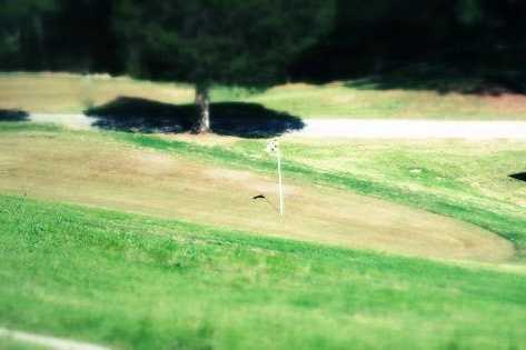 Deer Valley Links - photo 2