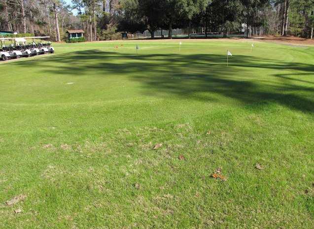 Dogwood Hills - photo 2