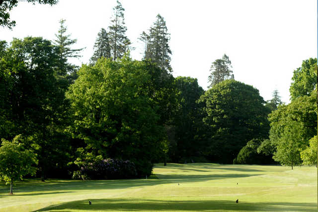 Coollattin Golf Club - photo 4