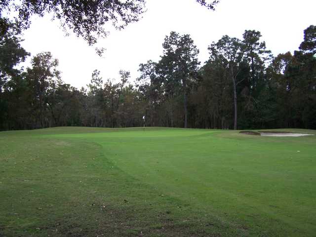 Royal Oaks