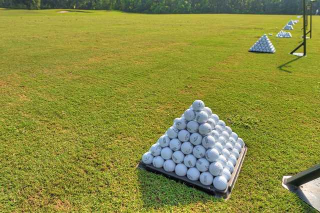 Amelia National Golf & Country Club - photo 5