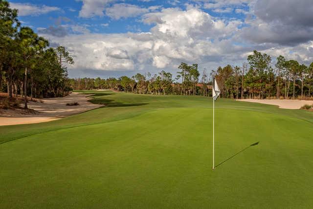 Tiburon Golf Club - Black Course