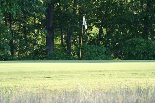 Sauganash - photo 3