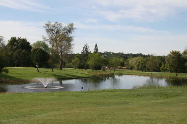 Rolling Greens - photo 4